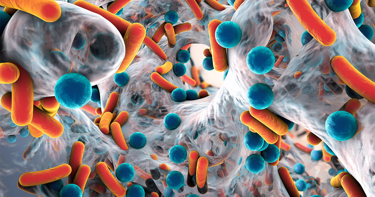 Biofilm of antibiotic resistant bacteria, closeup view. Rod-shape